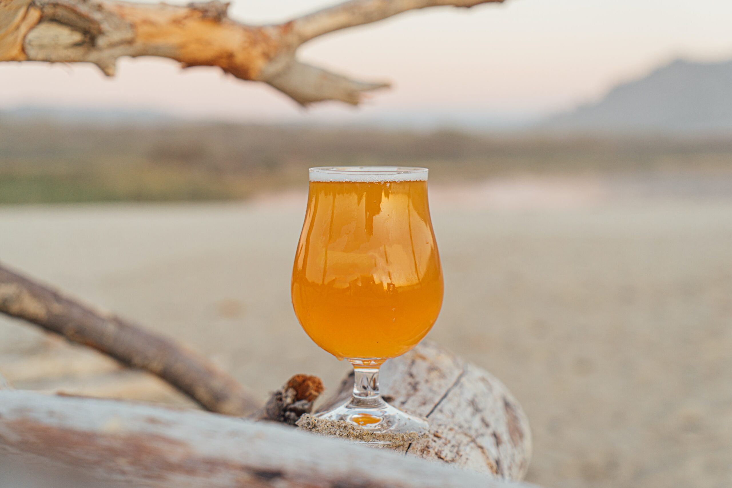 Other sipping ales