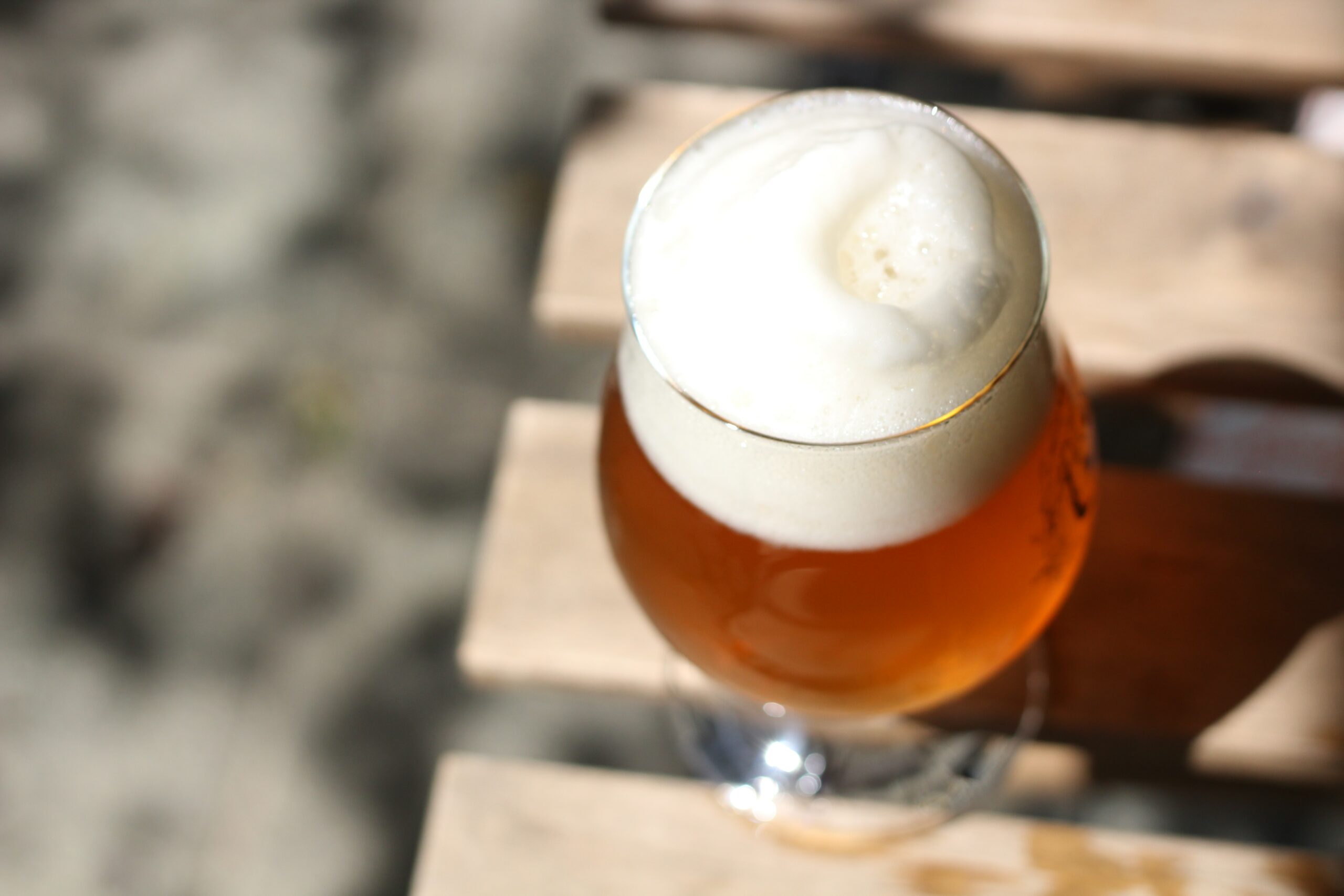 Belgian session ales